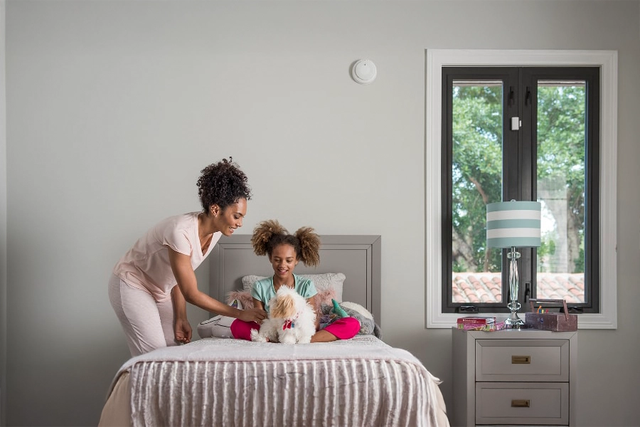 smoke & carbon detector The Woodlands